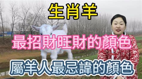 屬羊適合什麼顏色|從「生肖」看什麼顏色會幫你帶來好運，生肖鼠適合黑。